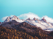 华体会网页版——畅享极致体育娱乐体验