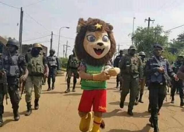 开云首页APP-炸弹“预热”装甲车压阵 非洲杯能安全举行么？